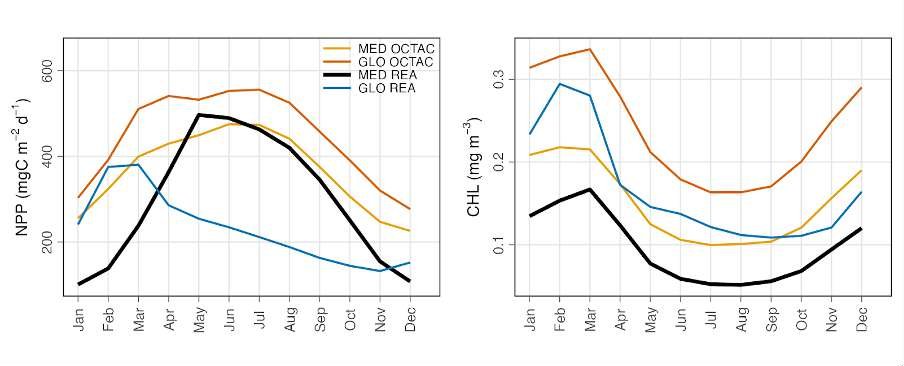 Monthly climatology of NPP and CHL