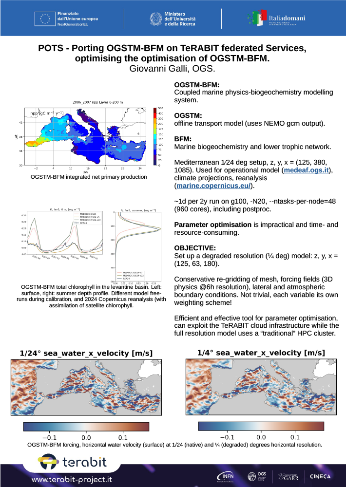 Galli - POTS - Porting OGSTM BFM on TeRABIT federated Services