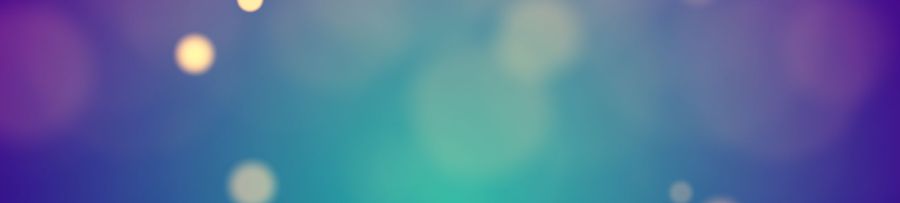 Conferenza finale TeRABIT