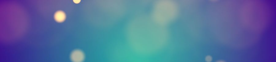 Conferenza finale TeRABIT